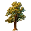 🌳