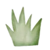 🌿