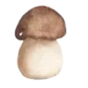 🍄