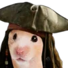 🏴‍☠