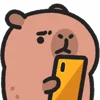 📱