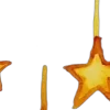 🌟