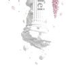 🪉