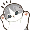 🐱