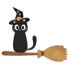 🐈‍⬛