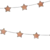 🌟