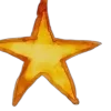 🌟