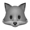 🦊