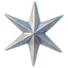 🌟