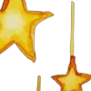 🌟