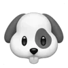 🐶