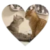 👩‍❤️‍💋‍👨