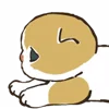 🐱