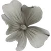 🌺