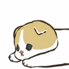 🐱