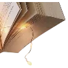 📖