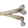 👁