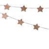 🌟