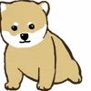 🐶