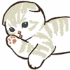 🐱