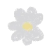 🌺