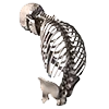 ☠️