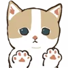 🐾