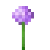 🏵