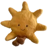 🌟
