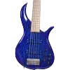 🎸