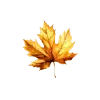 🍁