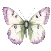 🦋