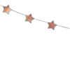 🌟
