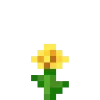 🌼