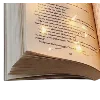 📖