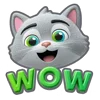 🙀