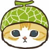 🐱