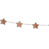 🌟