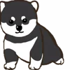 🐶