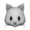 🐱