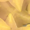 🤩