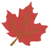 🍁