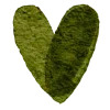 💚