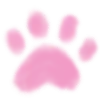 🐾