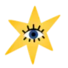 🌟