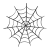 🕸️