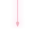 ✨