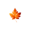 🍁