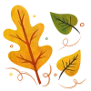 🍂