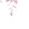 🪉